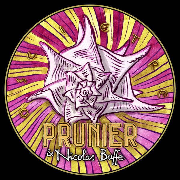 MD_04_Tyrian purple shellfish (Bolinus brandaris)